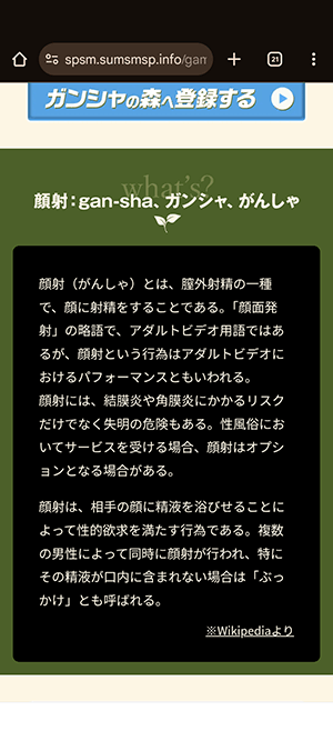 ガンシャの森の画像2