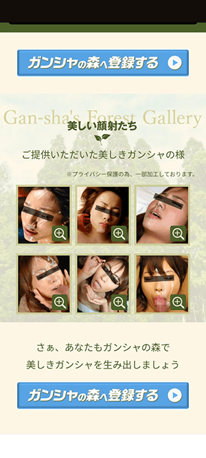 ガンシャの森の画像3